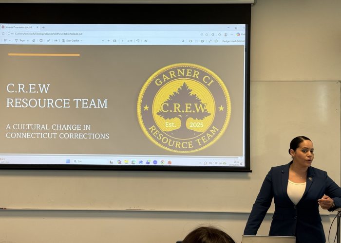 a woman giving a presentation
