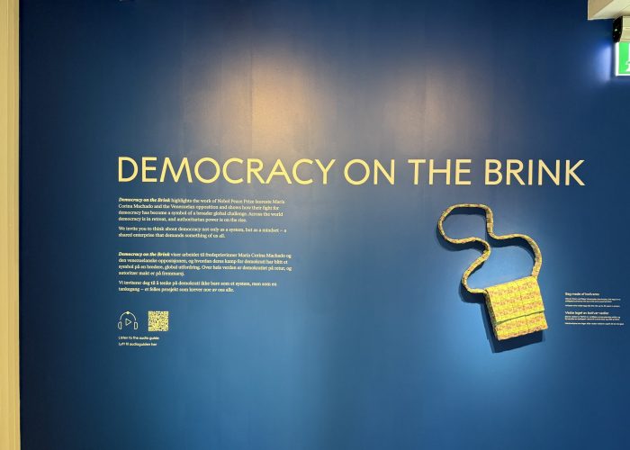 museum exhibition titled Democracy on the Brink