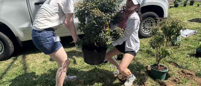 2 students lift plant