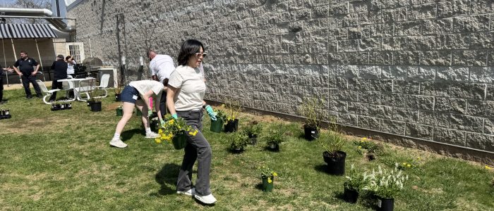 Dr. Park walks plants towards wall